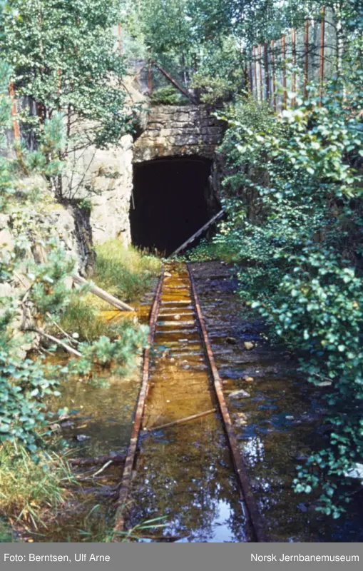 Spor i tunnelen som gikk inn under skeideanlegget. De grove fraksjonene med kis og gråberg som var skilt ut for hånd på transportbåndet på skeideanlegget, ble tappet i vognene inne i tunnelen. Foto 21. august 1970