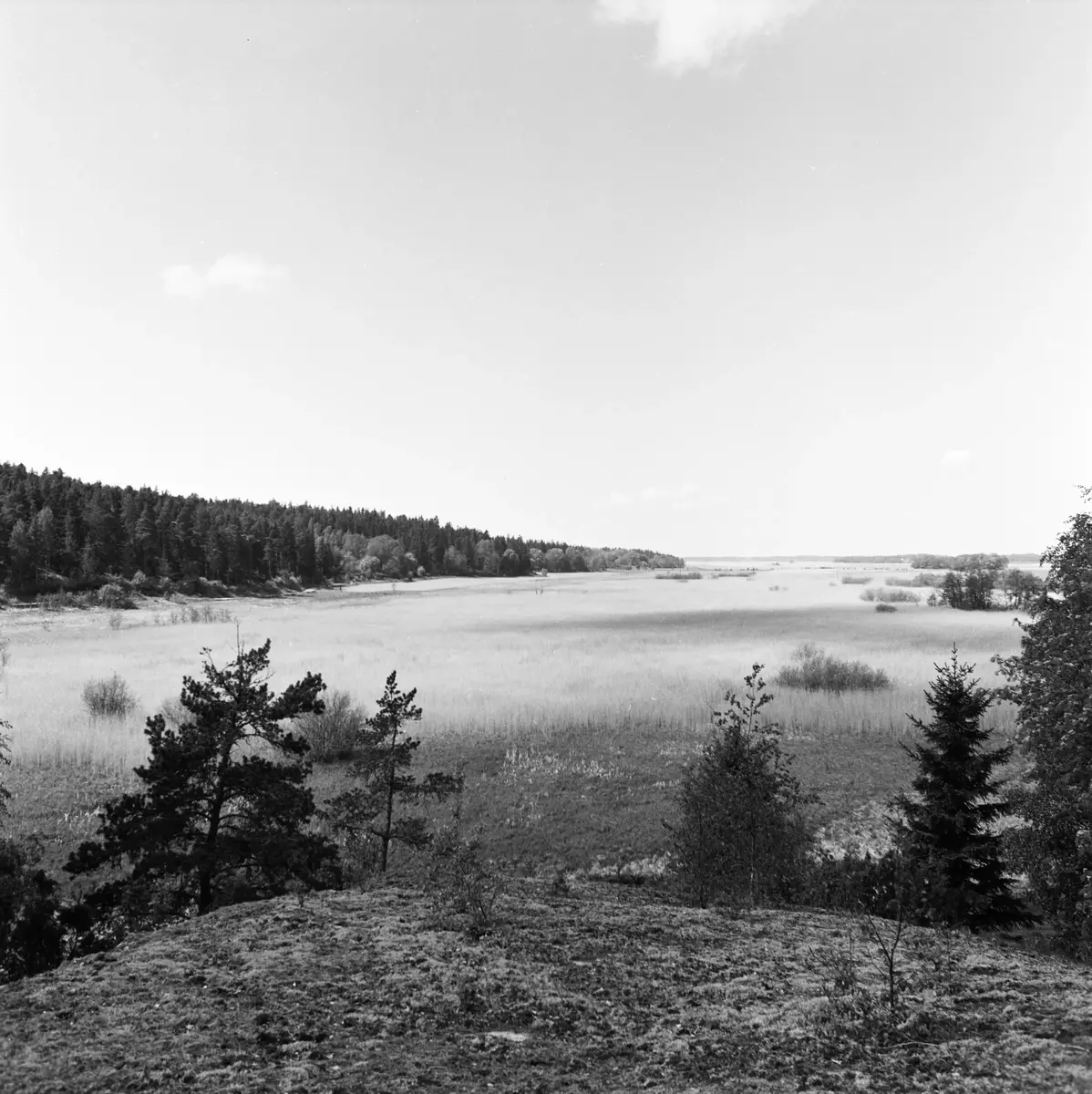 Utsikt mot Mälaren från Haknäs ägor