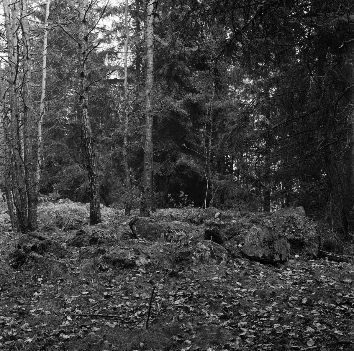 Stensättning på gravfältet Täby 88; 500 m SÖ Hagby.