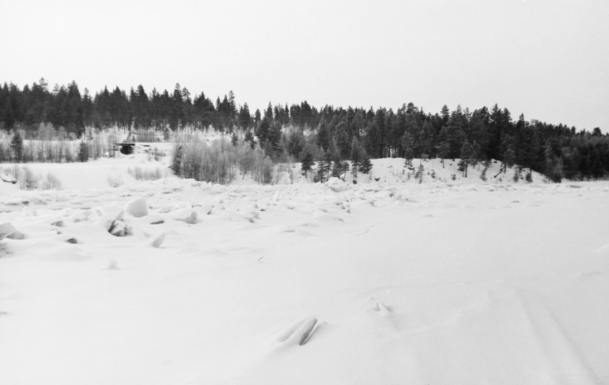 Snødekt elveløp der det hadde vært isgang. Fotografiet er sannsynligvis tatt litt ovenfor Eidefossen i Glåma, altså i Tolga kommune i Nord-Østerdalen, vinteren 1938. Vinterisgang oppstår i innlandsvassdrag der det er tilstrekkelig fall til at det oppstår sørpeis og sarr (bunnis) med oppstuving og tilløp til dannelse av dammer. I den øvre delen av Glåma opplevdes dette som et stadig større problem etter at vassdraget ble regulert. Ettersom isen, når den kommer i sig, kan gjøre store skader langs vassdragene, ble eierne av Aursunddammen pålagt å manøvrere slik at naturlig vannføring ble opprettholdt inntil isforholdene nedover i vassdraget hadde stabilisert seg, vanligvis i desember måned. Deretter kunne tappinga økes trinnvis – fra 11 til 16 kubikkmeter i sekundet - til beste for elektrisitetsproduksjonen. Isgangsproblematikken var aktuell i 1938, for da ble det framlagt planer for flere kraftverk i den nordre delen av vassdraget, ved Eidefossen på Tolga og ved Barkaldfossen i Alvdal. Dette fotografiet er muligens tatt ved Eide-gardene, som ligger på østsida av vassdraget, i Tolga kommune. Det forekom flere ganger at blant annet Tolga bru var truet av isgang, men det året dette fotografiet ble tatt later det ikke til å ha vært dramatikk knyttet til dette fenomenet.