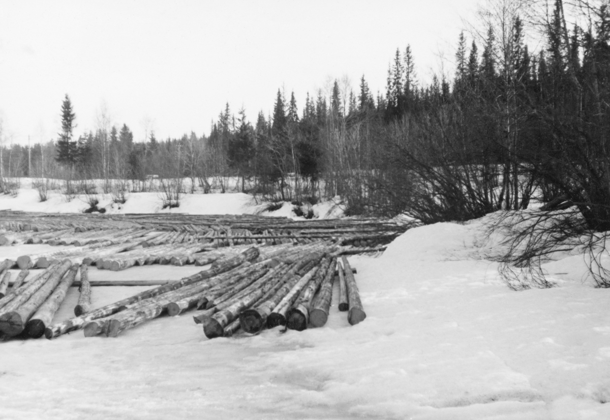 Tømmertillegging på elveisen på et sted som i Glomma fellesfløtingsforenings fotoalbum kalles «Torgerstuen». Torgerstue-navnet forekommer både i Elverum og Åmot. Da dette bildet ble innlemmet i Norsk skogmuseums samling mente registrator å vite at det var fra Elverum, der Torgerstua er et bruk som er fradelt garden Søndre Rustad i den nordre delen av kommunen. Fotografiet skal være tatt vinteren 1938. Det viser hvordan et tømmerparti var lagt i såkalte flakvelter på den snødekte isflata. Flakveltene besto av ett lag tømmerstokker som lå parallelt, men vinkelrett på to underlagsstokker. Underlagsstokkene skulle forebygge at tømmeret frøs ned i is og ble altfor fuktmettete etter eventuelle perioder med overvann. Fordelen ved denne tilleggingsmåten var at tømmeret ble veldig lett tilgjengelig for måling og merking. Her var det lett å se og kvalitetsvurdere hver enkelt stokk, med påfølgende «klaving» (diametermåling) og påslåing av kjøpermerker. Stokkene i flakveltene skulle ligge med de lengdemålene skogsarbeiderne hadde hogd på med romertall under apteringa oppovervendt, for å lette målernes arbeid. For å være noenlunde sikker på at tømmeret ikke ble altfor nedsnødd og nediset skulle det helst ikke legges tømmer i flakvelter for tidlig på vinteren.