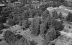 Flygfoto över Vikmanshyttan, Hedemora 1953.