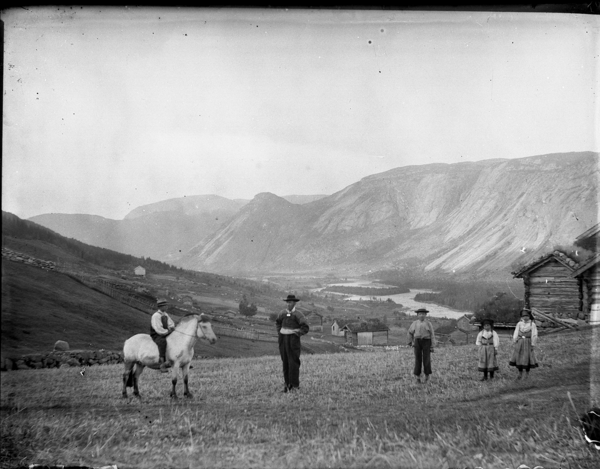 Fotosamling etter Bendik Ketilson Taraldlien (1863-1951) Fyresdal. Gårdbruker, fotograf og skogbruksmann. Fotosamlingen etter fotograf Taraldlien dokumenterer områdene Fyresdal og omegn. 
Gruppeportrett fra fjellgård.