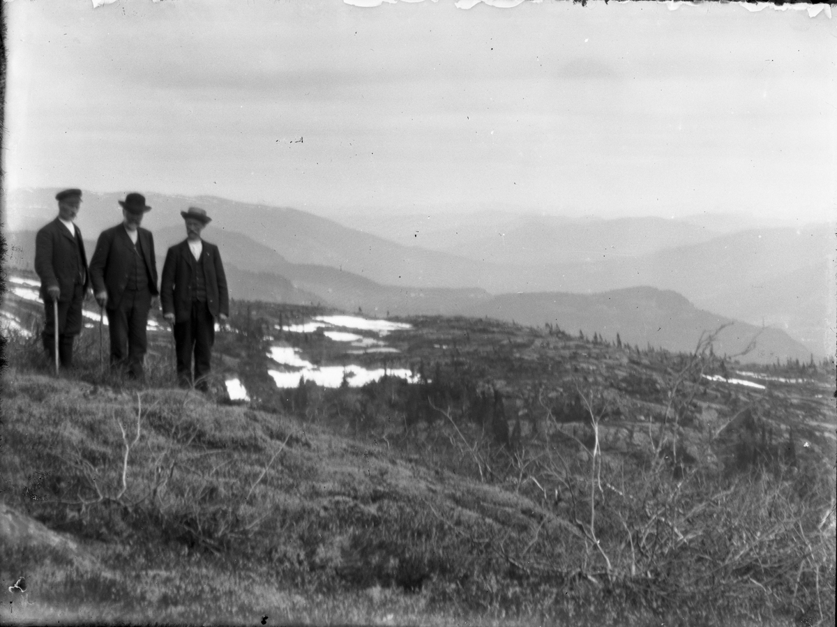 Fotosamling etter Bendik Ketilson Taraldlien (1863-1951) Fyresdal. Gårdbruker, fotograf og skogbruksmann. Fotosamlingen etter fotograf Taraldlien dokumenterer områdene Fyresdal og omegn. 
Portrett med tre mann på heia.