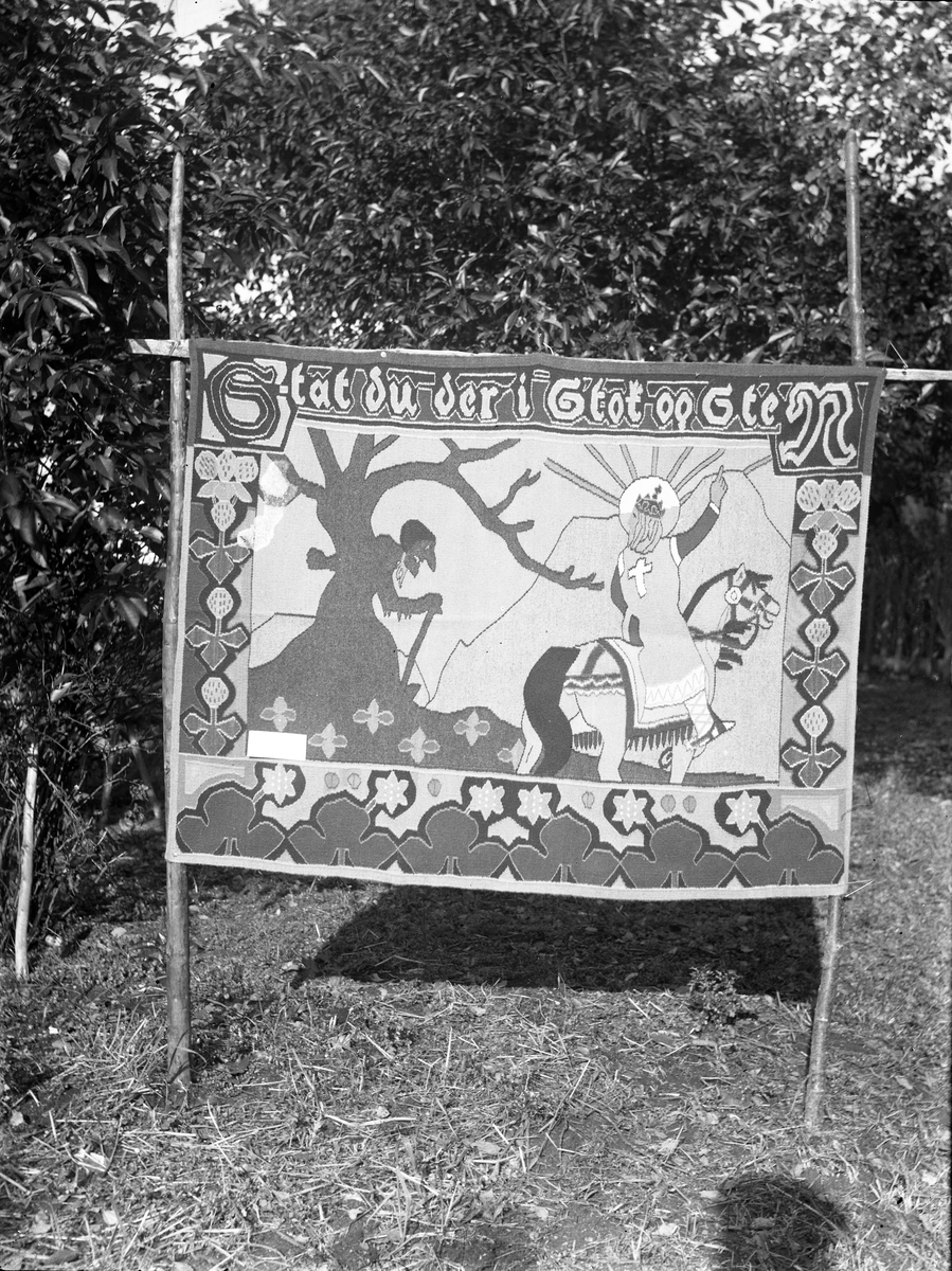 Fotosamling etter Bendik Ketilson Taraldlien (1863-1951) Fyresdal. Gårdbruker, fotograf og skogbruksmann. Fotosamlingen etter fotograf Taraldlien dokumenterer områdene Fyresdal og omegn. 
Avfotografert billedvev, fotografert utendørs.