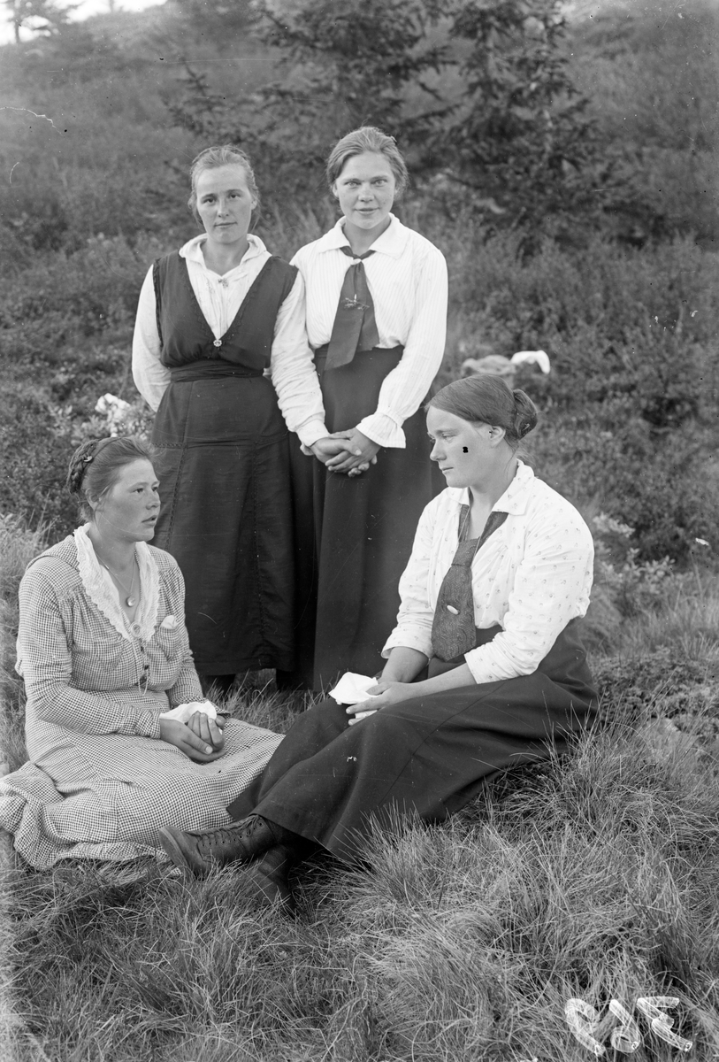 Bildet viser rosesøm

Fotosamling etter Øystein O. Jonsjords (1895-1968), Tinn.