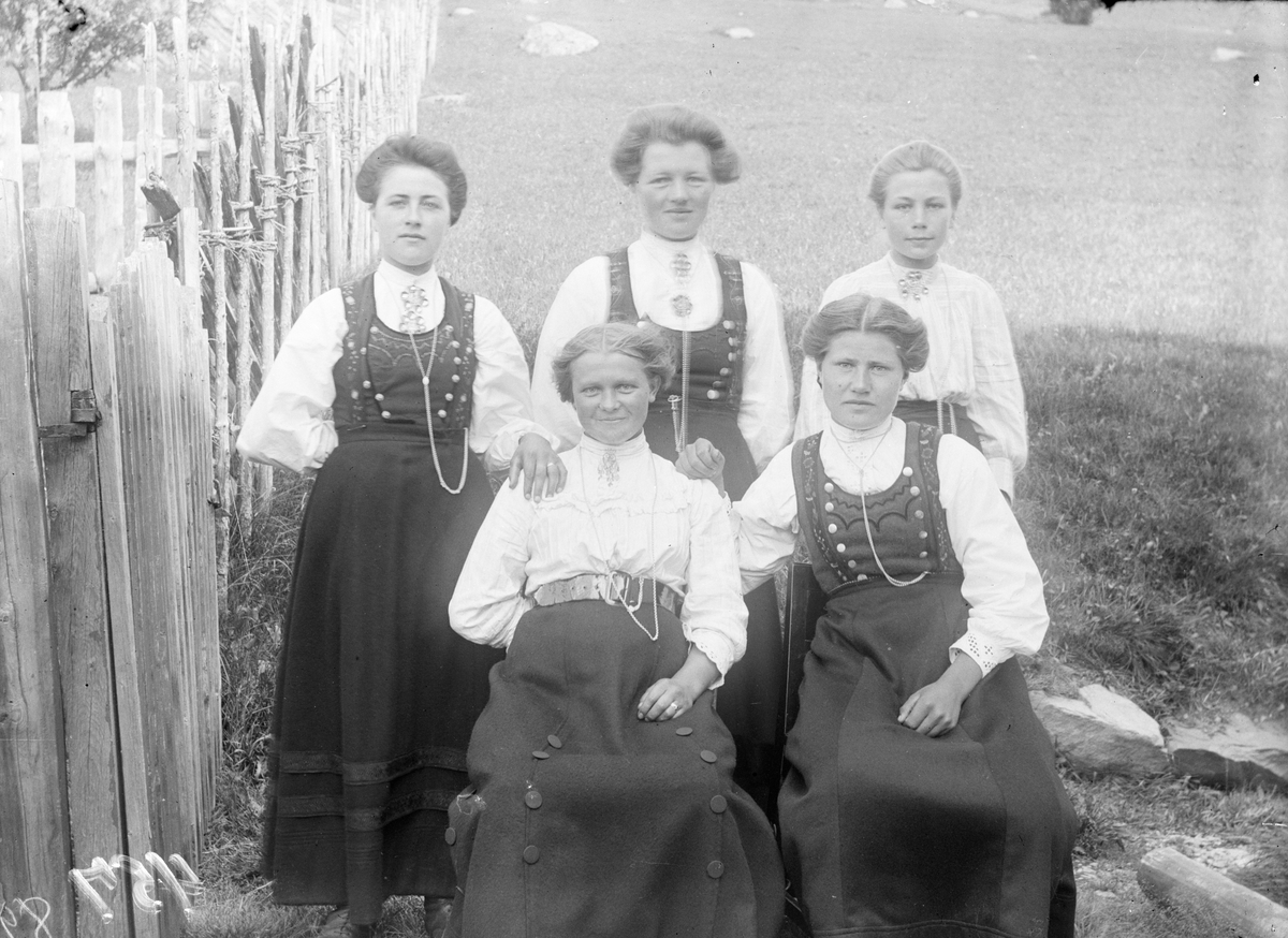 Bildet viser portrett av fem damer i Tinnbunad. Ågot Jonsjord bak til høyre

Fotosamling etter Øystein O. Jonsjords (1895-1968), Tinn.