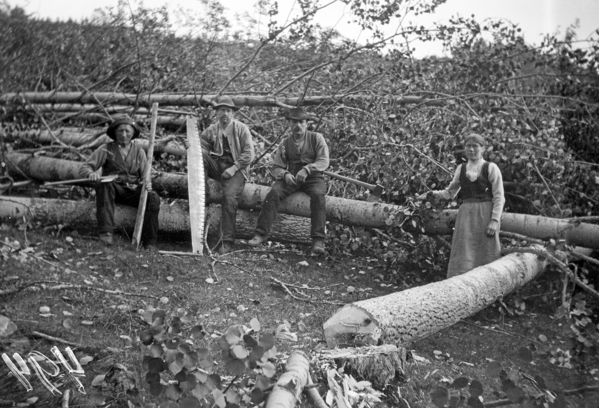 Bildet viser lauving

Fotosamling etter Øystein O. Jonsjords (1895-1968), Tinn.