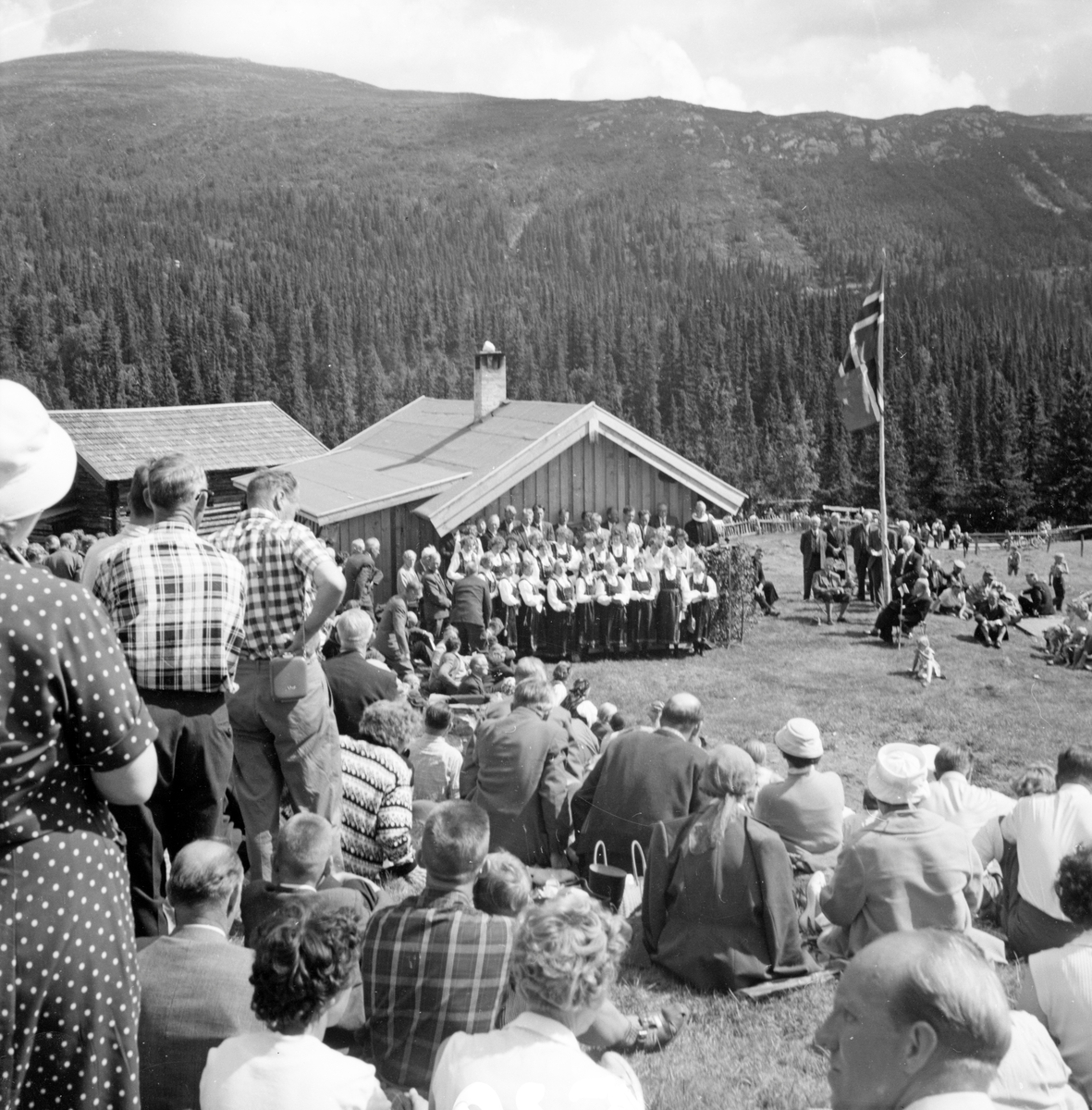 Bildet viser 20 bilder fra åpningen av Skirvedalsveien

Fotosamling etter Øystein O. Jonsjords (1895-1968), Tinn.