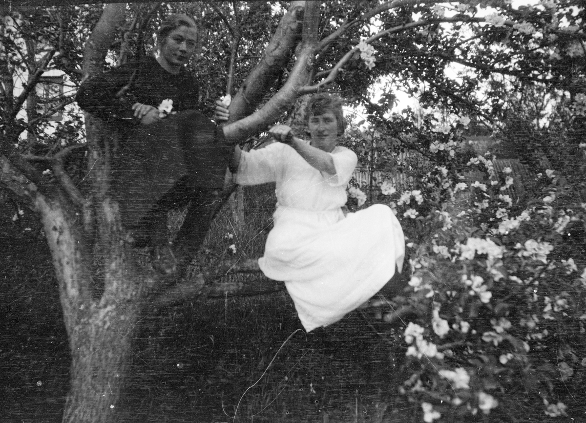 En samling bilder av familien Jonsjord. Dagny Jonsjord til venstre?

Ungdommene klarter i tre

Fotosamling etter Øystein O. Jonsjords (1895-1968), Tinn.