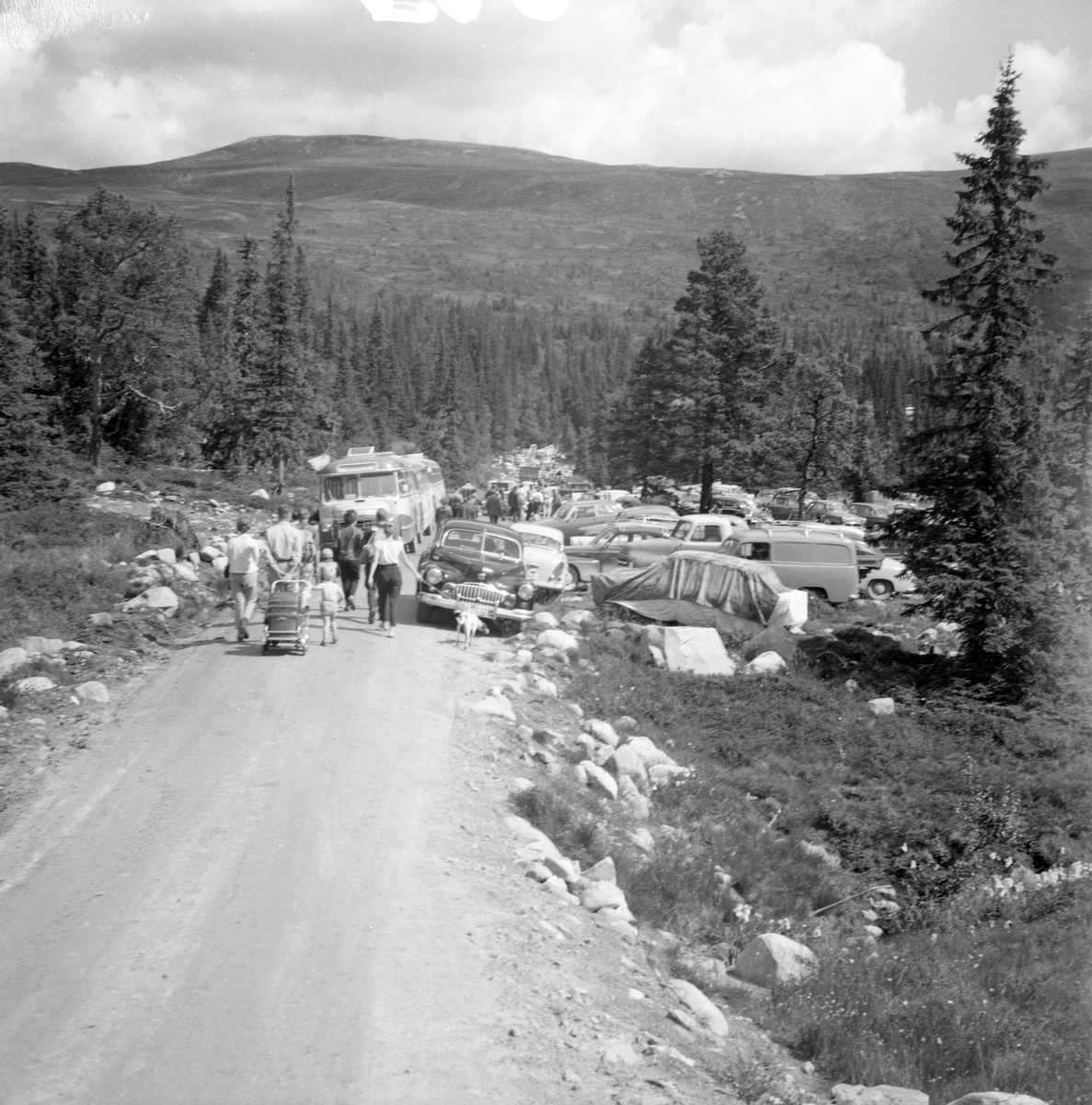 Bildet viser 20 bilder fra åpningen av Skirvedalsveien

Fotosamling etter Øystein O. Jonsjords (1895-1968), Tinn.