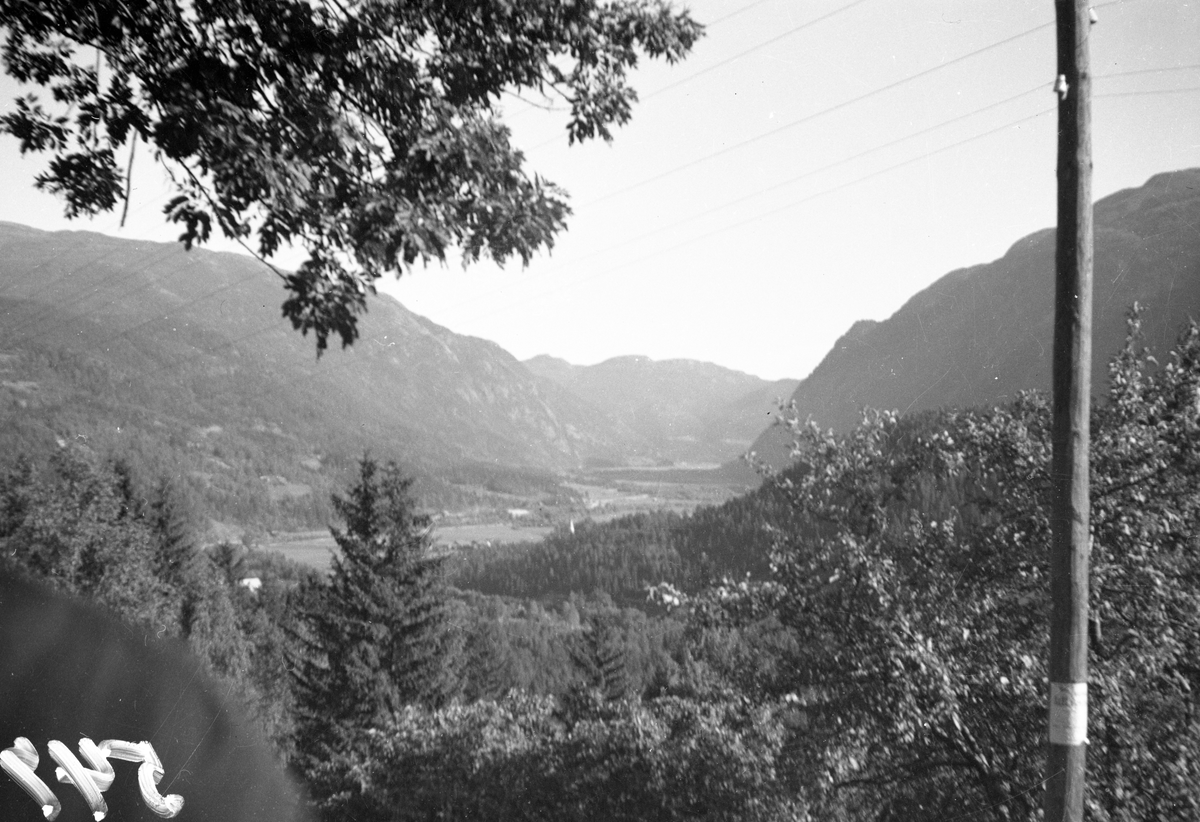 En samling bilder av familien Jonsjord

Fotosamling etter Øystein O. Jonsjords (1895-1968), Tinn.