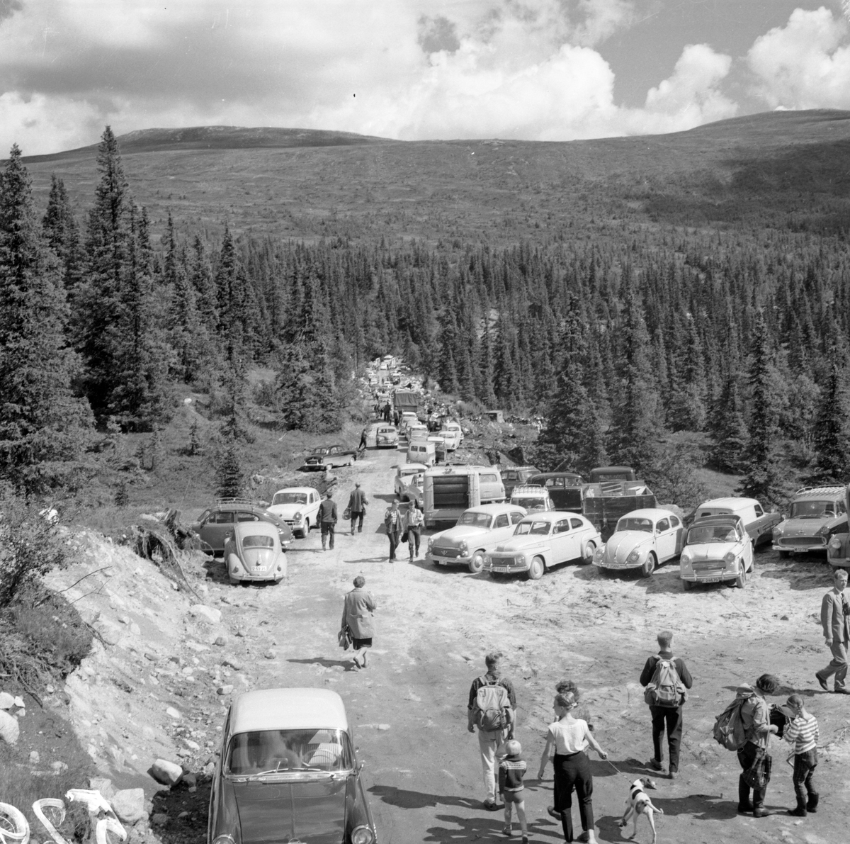 Bildet viser 20 bilder fra åpningen av Skirvedalsveien

Fotosamling etter Øystein O. Jonsjords (1895-1968), Tinn.