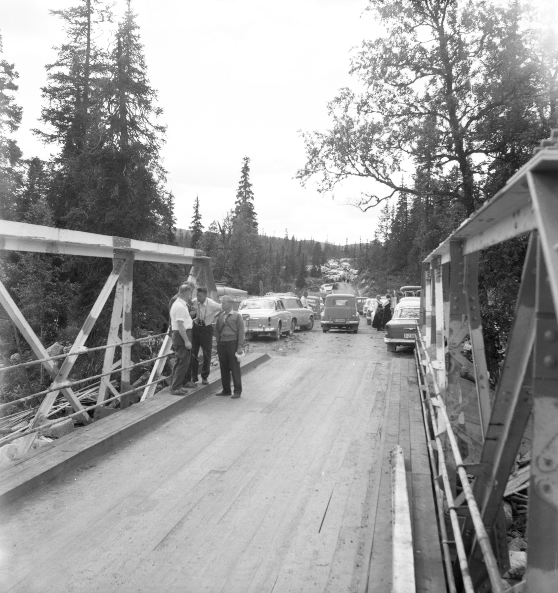 Bildet viser 20 bilder fra åpningen av Skirvedalsveien

Fotosamling etter Øystein O. Jonsjords (1895-1968), Tinn.