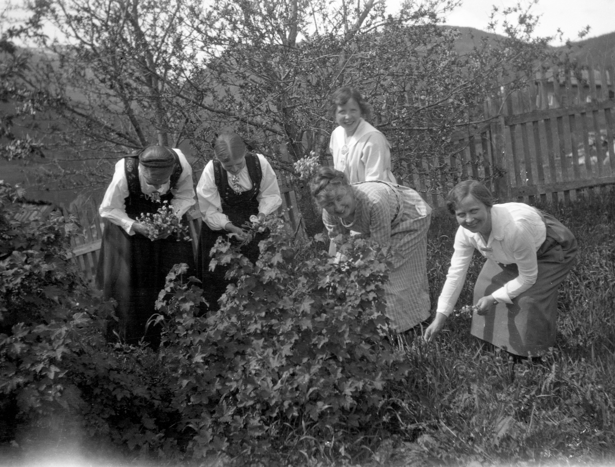 En samling bilder av familien Jonsjord. Dagny Jonsjord til venstre?

Ungdommene klarter i tre

Fotosamling etter Øystein O. Jonsjords (1895-1968), Tinn.
