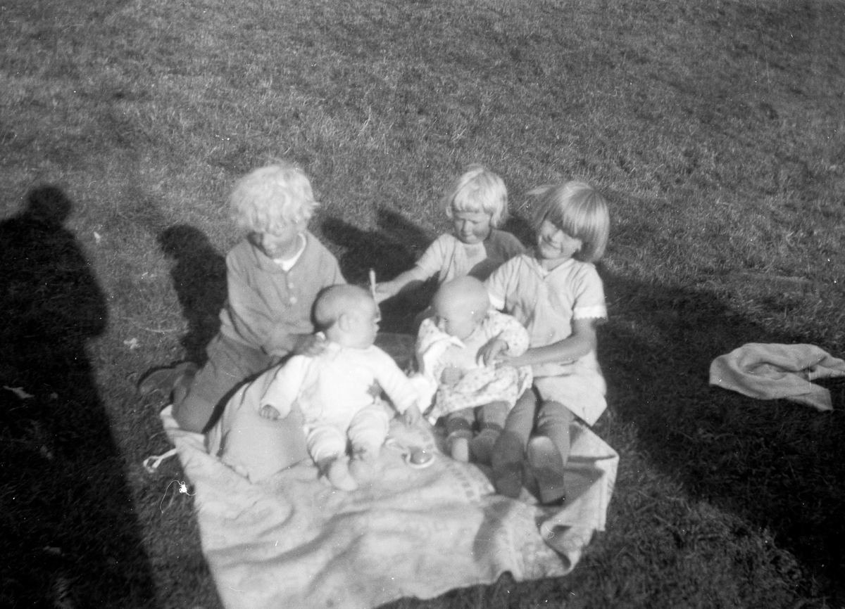 En samling bilder av familien Jonsjord

Fotosamling etter Øystein O. Jonsjords (1895-1968), Tinn.