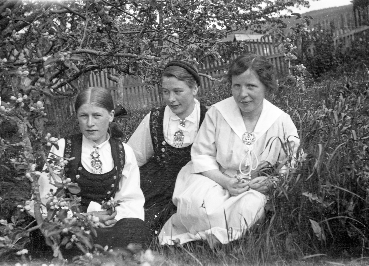 En samling bilder av familien Jonsjord. Dagny Jonsjord til venstre?

Ungdommene klarter i tre

Fotosamling etter Øystein O. Jonsjords (1895-1968), Tinn.