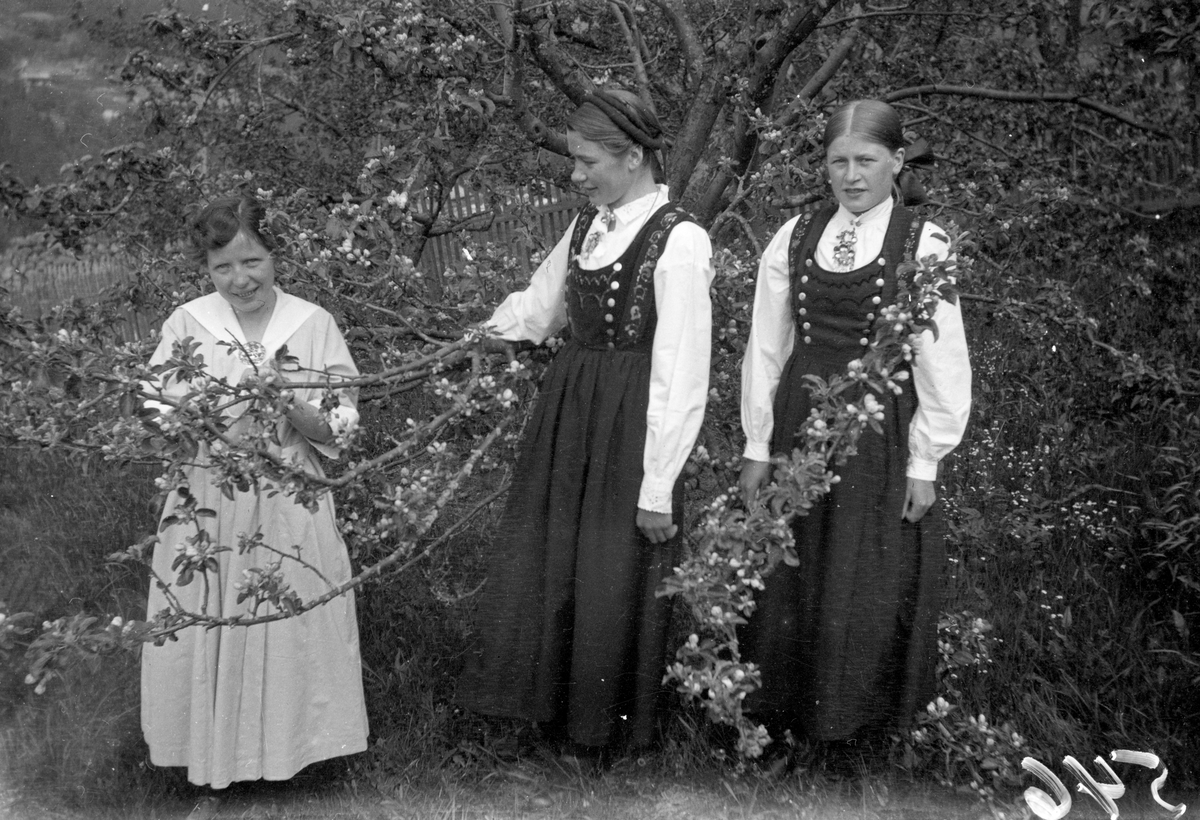 En samling bilder av familien Jonsjord. Dagny Jonsjord til venstre?

Ungdommene klarter i tre

Fotosamling etter Øystein O. Jonsjords (1895-1968), Tinn.