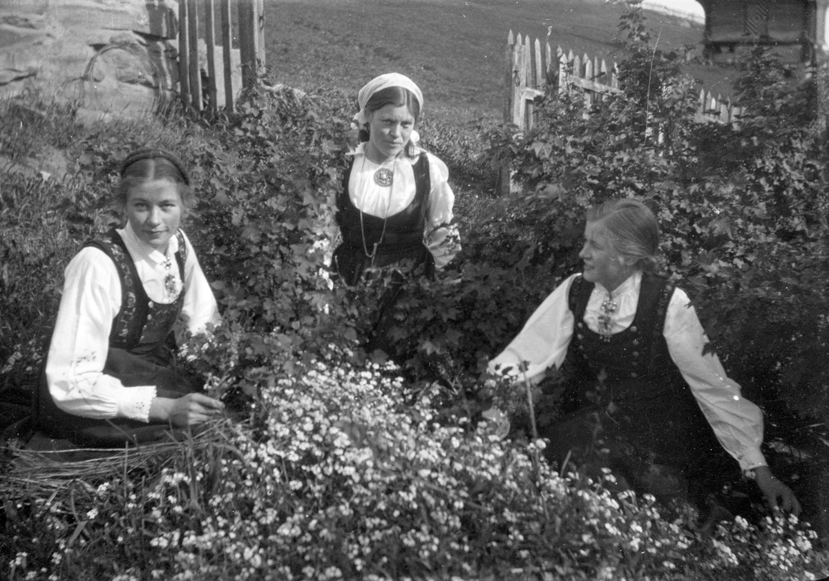 En samling bilder av familien Jonsjord. Dagny Jonsjord til venstre?

Ungdommene klarter i tre

Fotosamling etter Øystein O. Jonsjords (1895-1968), Tinn.