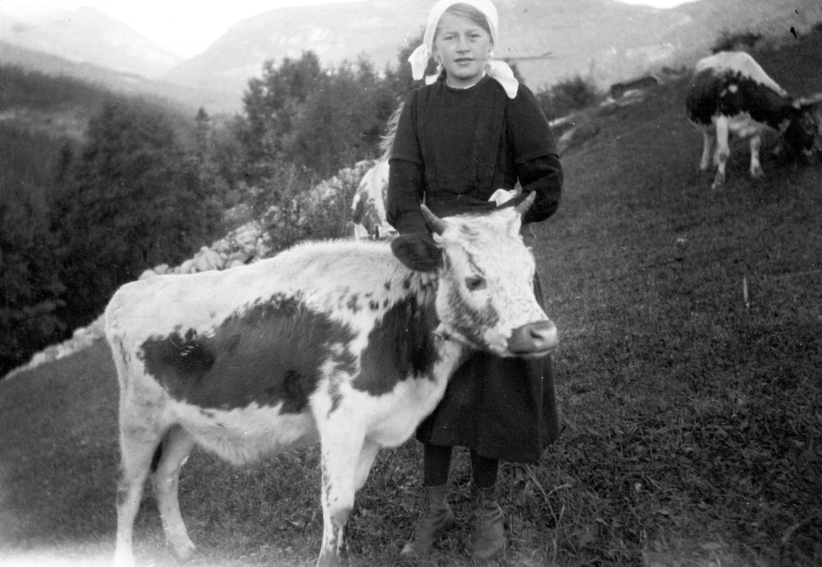 En samling bilder av familien Jonsjord. Dagny Jonsjord til venstre?

Ungdommene klarter i tre

Fotosamling etter Øystein O. Jonsjords (1895-1968), Tinn.