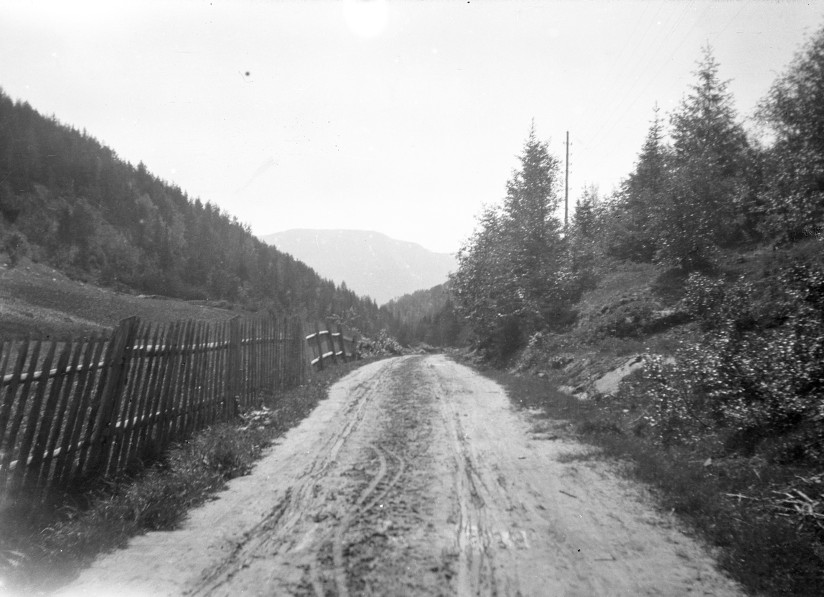 Bildet viser folk på hjemvei langs en grusvei.

Fotosamling etter Øystein O. Jonsjords (1895-1968), Tinn.