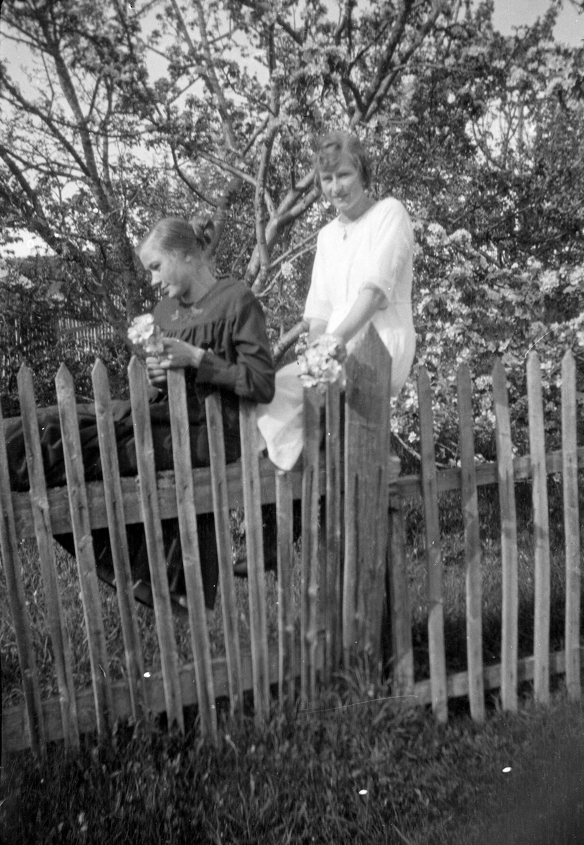 En samling bilder av familien Jonsjord. Dagny Jonsjord til venstre?

Ungdommene klarter i tre

Fotosamling etter Øystein O. Jonsjords (1895-1968), Tinn.