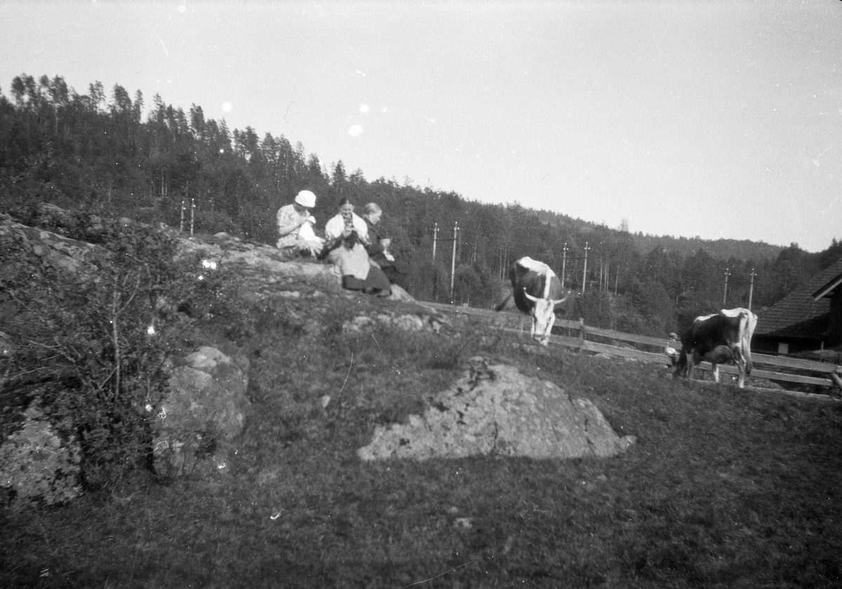 En samling bilder av familien Jonsjord

Fotosamling etter Øystein O. Jonsjords (1895-1968), Tinn.