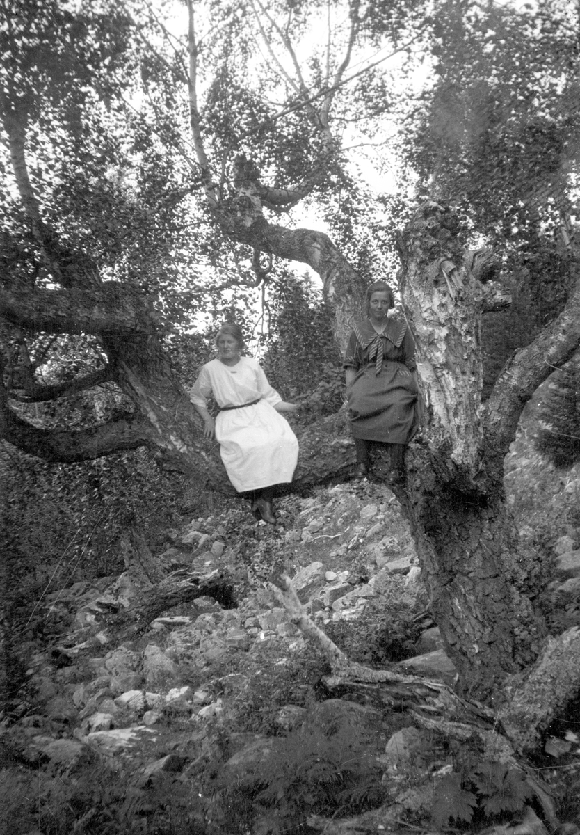 En samling bilder av familien Jonsjord. Dagny Jonsjord til venstre?

Ungdommene klarter i tre

Fotosamling etter Øystein O. Jonsjords (1895-1968), Tinn.