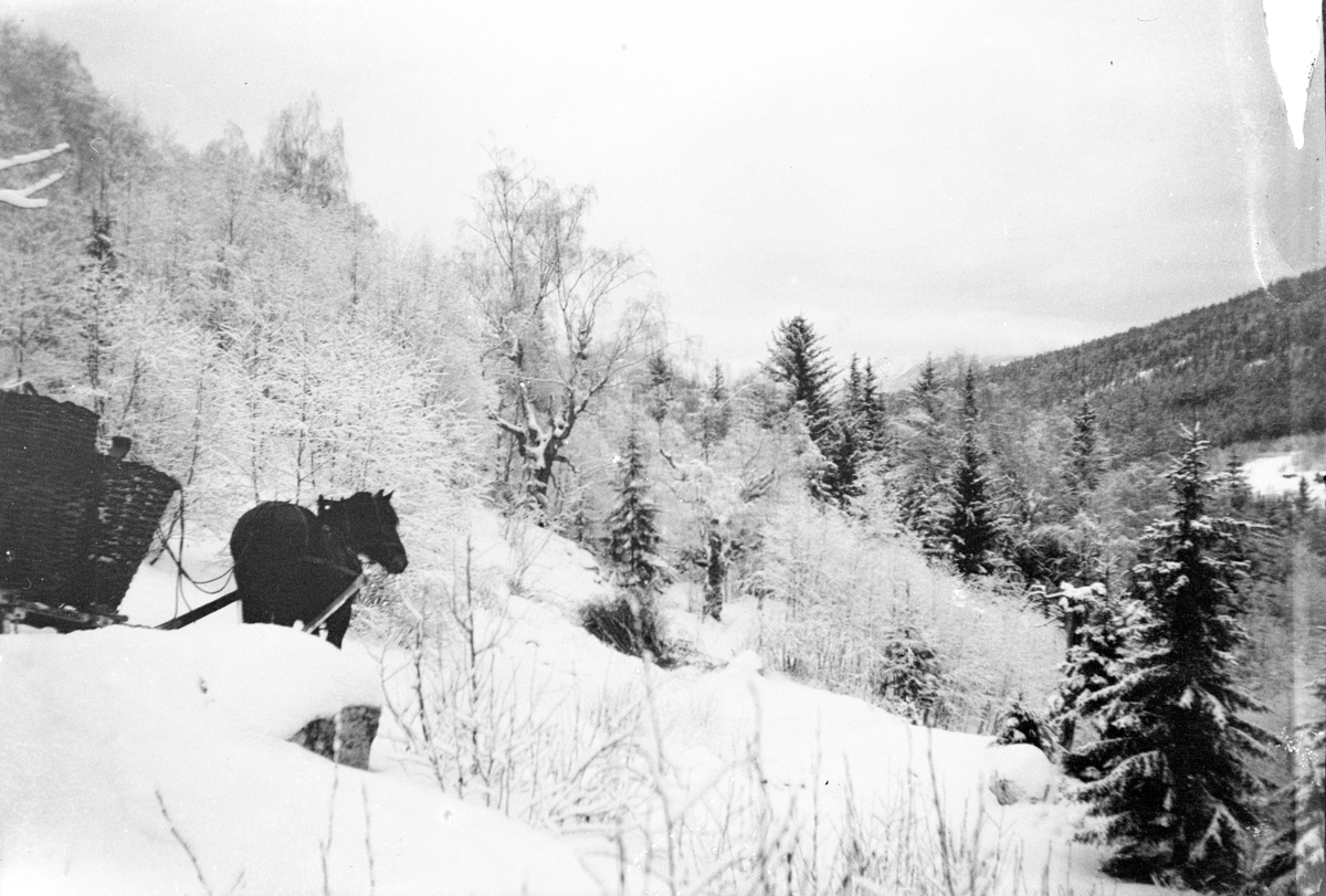 En samling bilder av familien Jonsjord. Dagny Jonsjord til venstre?

Ungdommene klarter i tre

Fotosamling etter Øystein O. Jonsjords (1895-1968), Tinn.
