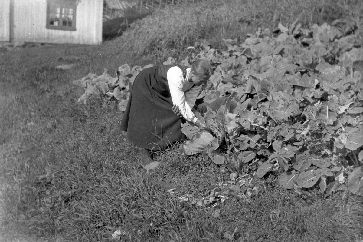En samling bilder av familien Jonsjord. Dagny Jonsjord til venstre?

Ungdommene klarter i tre

Fotosamling etter Øystein O. Jonsjords (1895-1968), Tinn.
