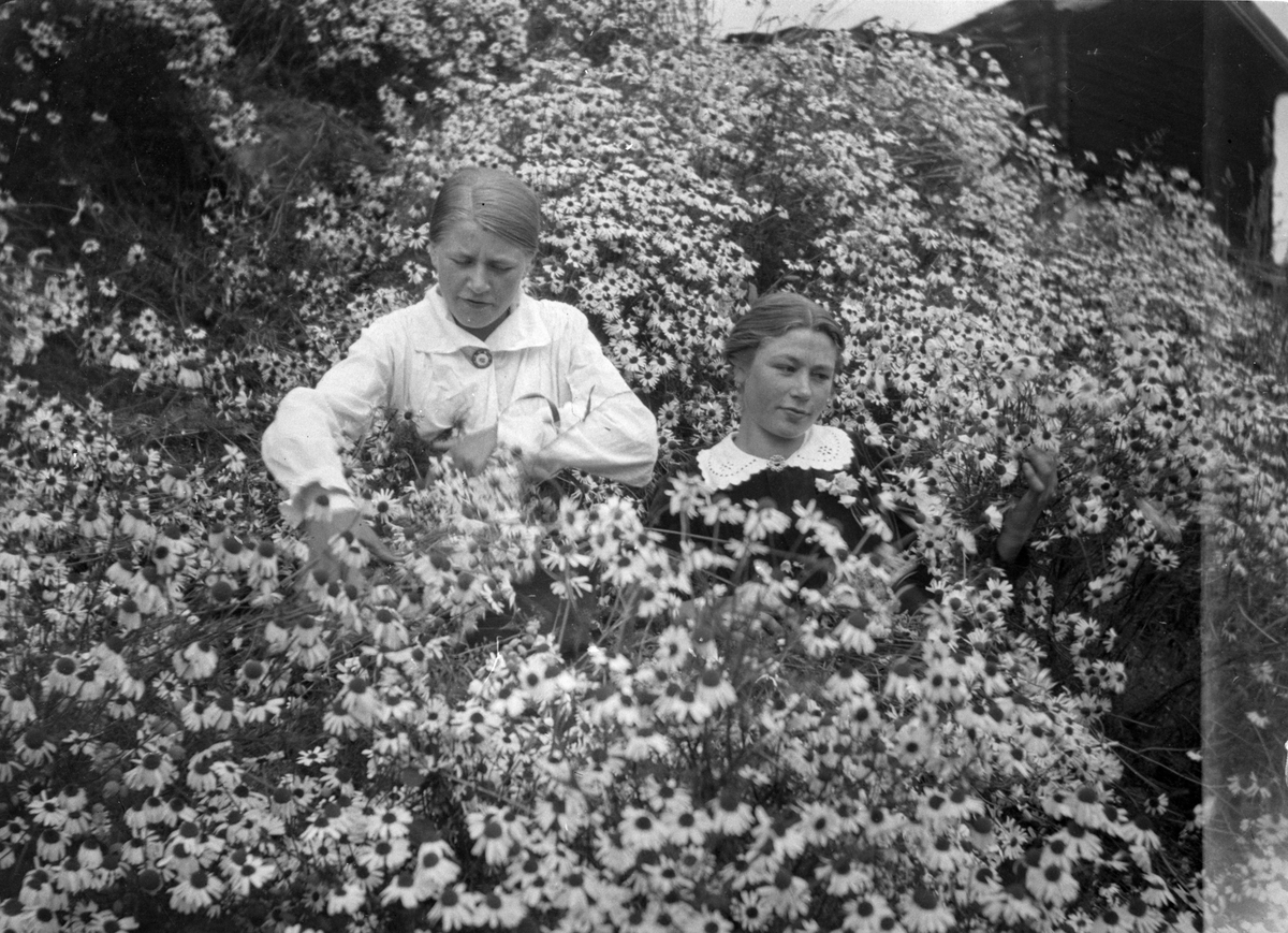 En samling bilder av familien Jonsjord. Dagny Jonsjord til venstre?

Ungdommene klarter i tre

Fotosamling etter Øystein O. Jonsjords (1895-1968), Tinn.
