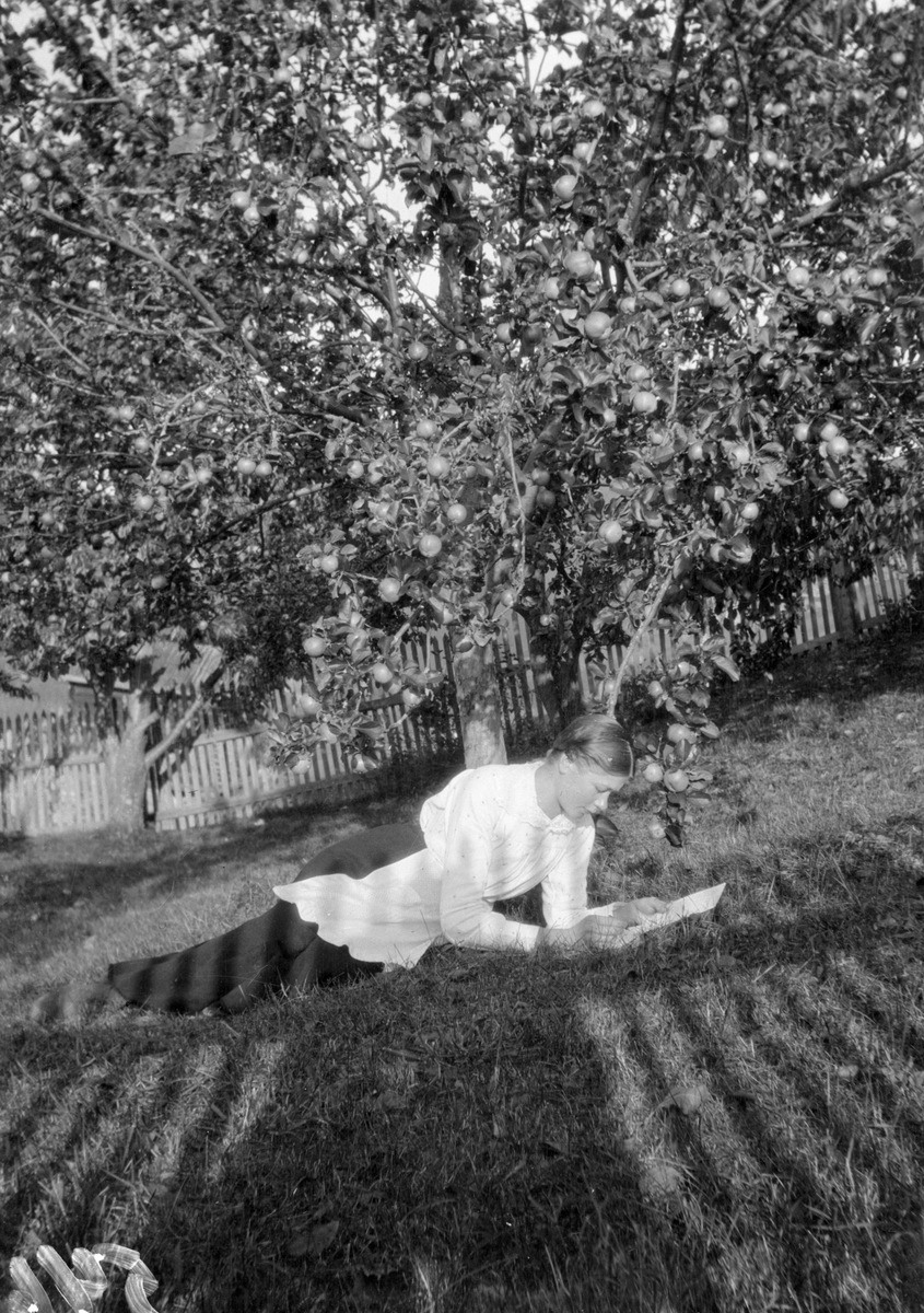 En samling bilder av familien Jonsjord. Dagny Jonsjord til venstre?

Ungdommene klarter i tre

Fotosamling etter Øystein O. Jonsjords (1895-1968), Tinn.