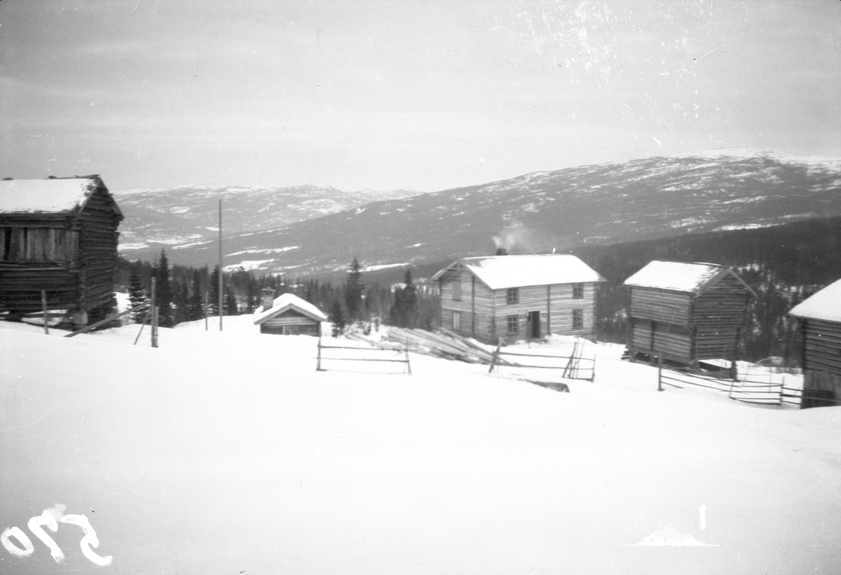 bilder viser Lien i Veggli med Anne og Olav med barn

Fotosamling etter Øystein O. Jonsjords (1895-1968), Tinn.