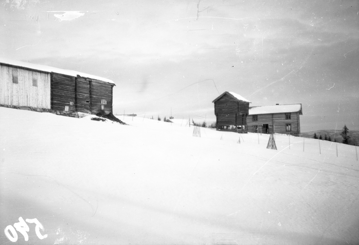 bilder viser Lien i Veggli med Anne og Olav med barn

Fotosamling etter Øystein O. Jonsjords (1895-1968), Tinn.