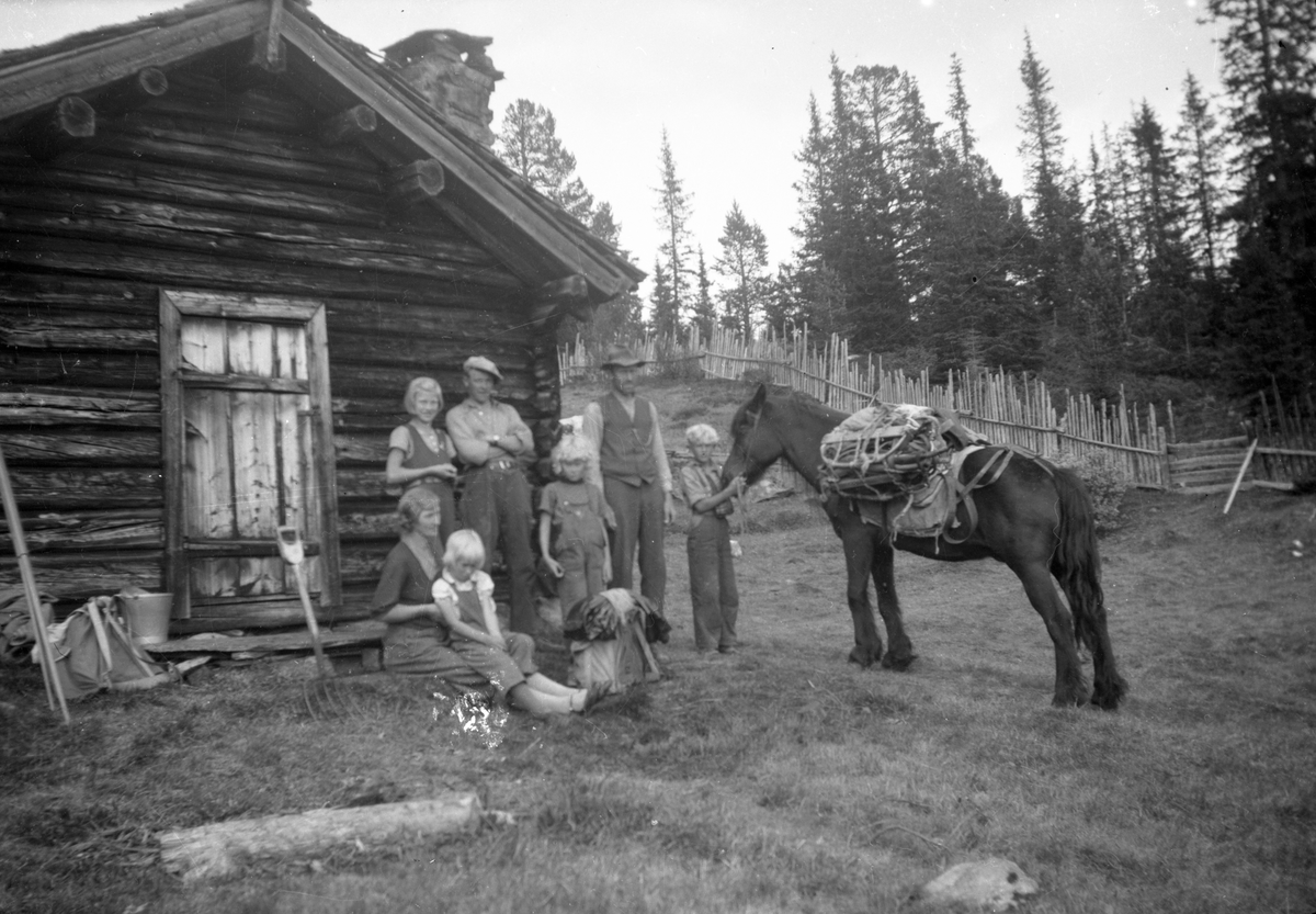 Bilde viser Kløvhest på Myreputt. (Avsluttet slått)

Fotosamling etter Øystein O. Jonsjords (1895-1968), Tinn.