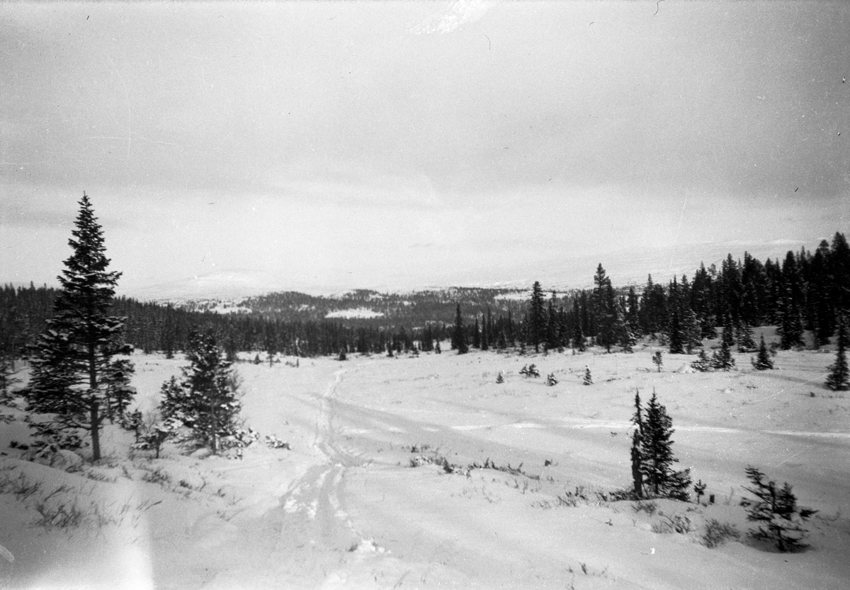Bilde viser minner fra Liset, Myrputt og Mykletjønn.

Fotosamling etter Øystein O. Jonsjords (1895-1968), Tinn.