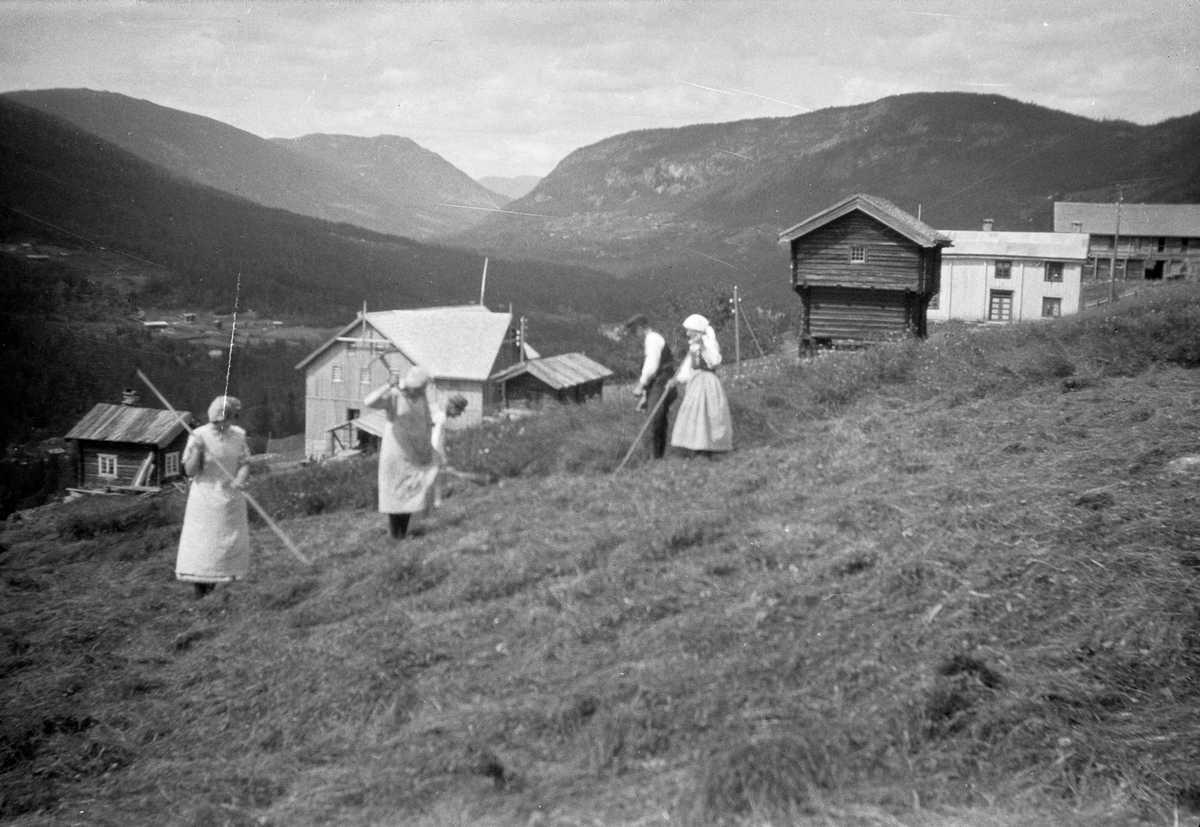 Bilder fra Jonsjord sør

Fotosamling etter Øystein O. Jonsjords (1895-1968), Tinn.