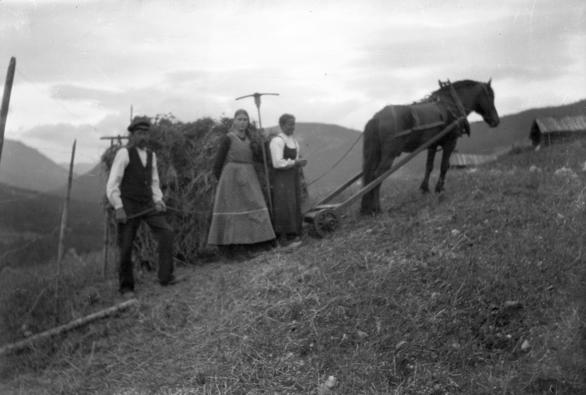 Bilder fra Jonsjord sør

Fotosamling etter Øystein O. Jonsjords (1895-1968), Tinn.