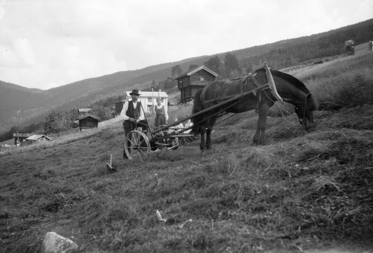 Bilder fra Jonsjord sør

Fotosamling etter Øystein O. Jonsjords (1895-1968), Tinn.