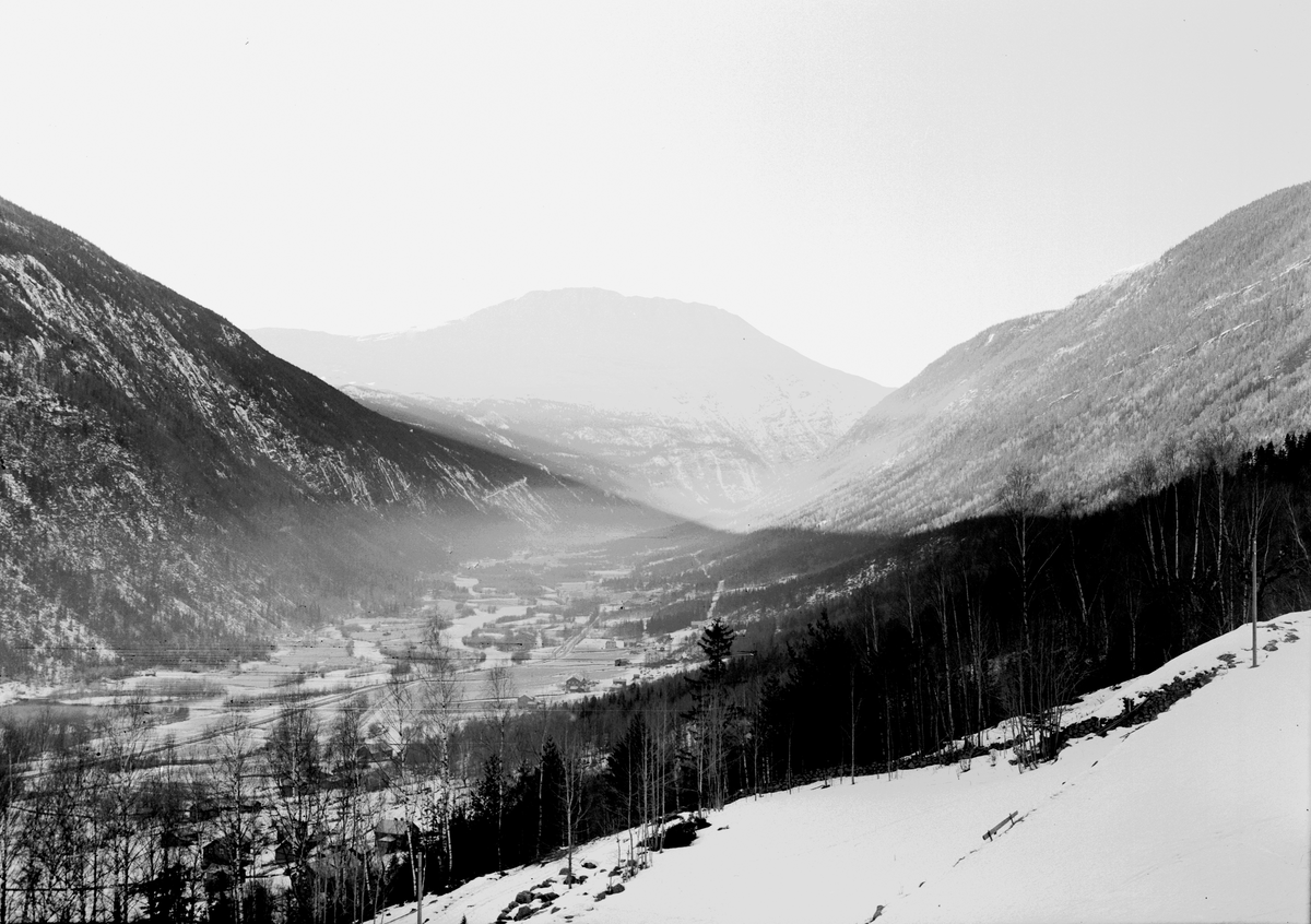 Fotosamling etter Øystein O. Jonsjords (1895-1968), Tinn. 

Bilde viser landskapet Milandsgrend mor Gausta