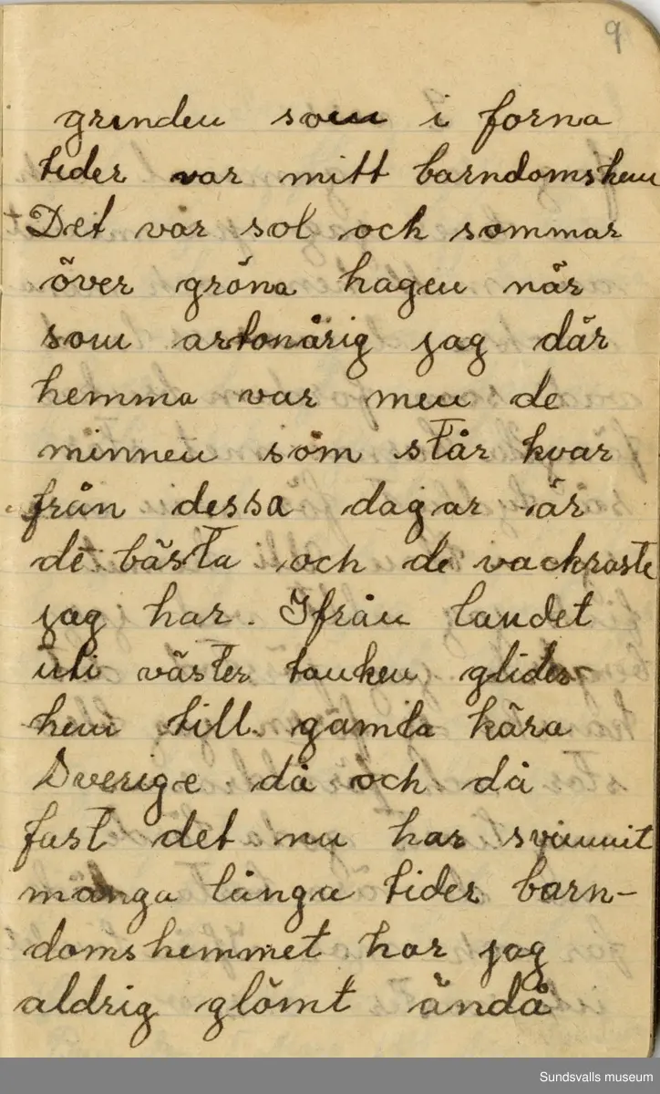 Dagbok skriven mellan åren 1919 och1920. 
Dagboken är skriven under Annas ungdomsår och handlar bland annat om biobesök, samvaro med vänner och arbete hemma på gården. Flera visor är också nedtecknade i boken.

Anna Johansson föddes på en bondgård i Byn, Torp. 
Hon arbetade som hushållerska, först hos sina föräldrar och senare hos syskon. Hon tillhörde Torp-Stöde missionsförsamlin