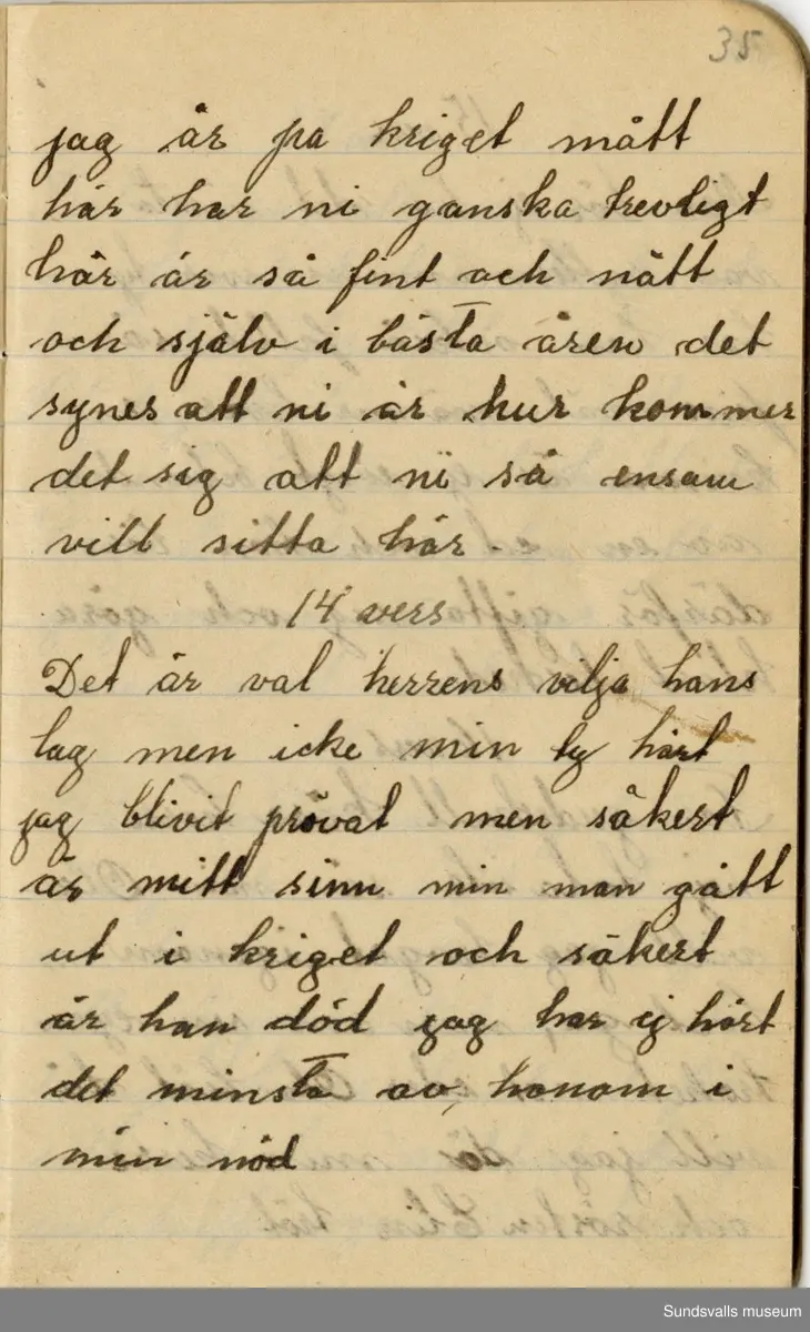 Dagbok skriven mellan åren 1919 och1920. 
Dagboken är skriven under Annas ungdomsår och handlar bland annat om biobesök, samvaro med vänner och arbete hemma på gården. Flera visor är också nedtecknade i boken.

Anna Johansson föddes på en bondgård i Byn, Torp. 
Hon arbetade som hushållerska, först hos sina föräldrar och senare hos syskon. Hon tillhörde Torp-Stöde missionsförsamlin