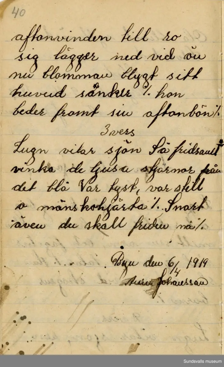 Dagbok skriven mellan åren 1919 och1920. 
Dagboken är skriven under Annas ungdomsår och handlar bland annat om biobesök, samvaro med vänner och arbete hemma på gården. Flera visor är också nedtecknade i boken.

Anna Johansson föddes på en bondgård i Byn, Torp. 
Hon arbetade som hushållerska, först hos sina föräldrar och senare hos syskon. Hon tillhörde Torp-Stöde missionsförsamlin