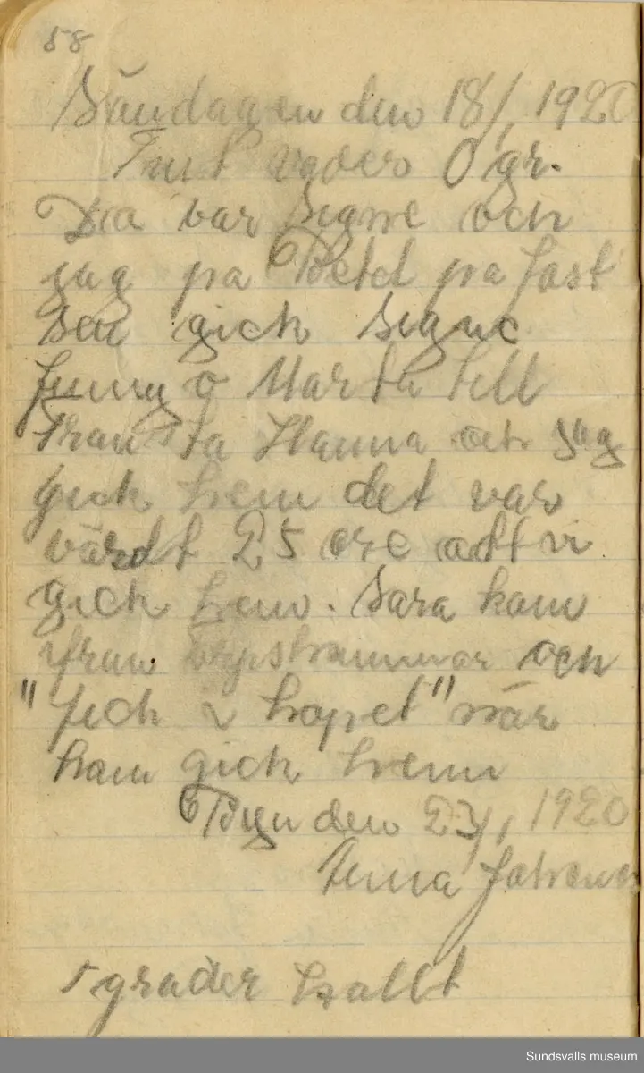 Dagbok skriven mellan åren 1919 och1920. 
Dagboken är skriven under Annas ungdomsår och handlar bland annat om biobesök, samvaro med vänner och arbete hemma på gården. Flera visor är också nedtecknade i boken.

Anna Johansson föddes på en bondgård i Byn, Torp. 
Hon arbetade som hushållerska, först hos sina föräldrar och senare hos syskon. Hon tillhörde Torp-Stöde missionsförsamlin