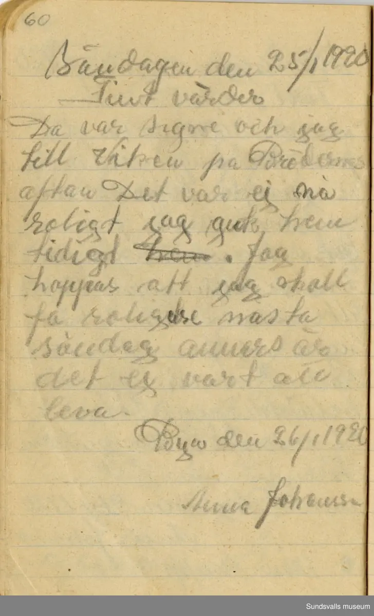 Dagbok skriven mellan åren 1919 och1920. 
Dagboken är skriven under Annas ungdomsår och handlar bland annat om biobesök, samvaro med vänner och arbete hemma på gården. Flera visor är också nedtecknade i boken.

Anna Johansson föddes på en bondgård i Byn, Torp. 
Hon arbetade som hushållerska, först hos sina föräldrar och senare hos syskon. Hon tillhörde Torp-Stöde missionsförsamlin