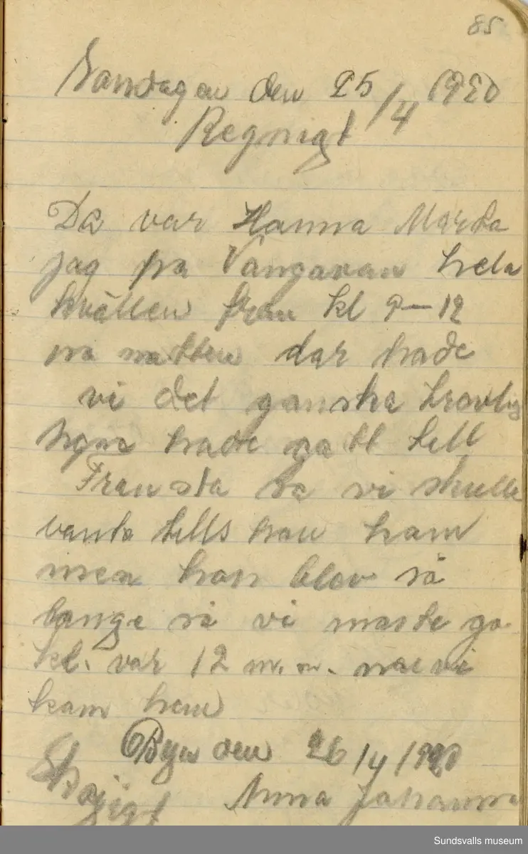 Dagbok skriven mellan åren 1919 och1920. 
Dagboken är skriven under Annas ungdomsår och handlar bland annat om biobesök, samvaro med vänner och arbete hemma på gården. Flera visor är också nedtecknade i boken.

Anna Johansson föddes på en bondgård i Byn, Torp. 
Hon arbetade som hushållerska, först hos sina föräldrar och senare hos syskon. Hon tillhörde Torp-Stöde missionsförsamlin