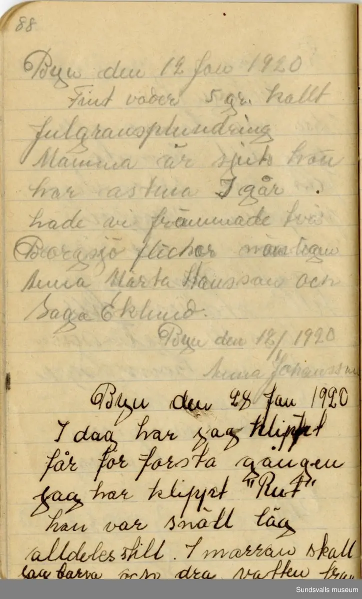 Dagbok skriven mellan åren 1919 och1920. 
Dagboken är skriven under Annas ungdomsår och handlar bland annat om biobesök, samvaro med vänner och arbete hemma på gården. Flera visor är också nedtecknade i boken.

Anna Johansson föddes på en bondgård i Byn, Torp. 
Hon arbetade som hushållerska, först hos sina föräldrar och senare hos syskon. Hon tillhörde Torp-Stöde missionsförsamlin