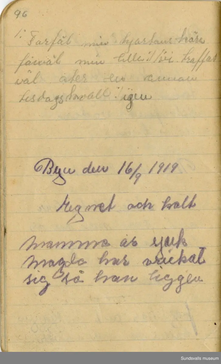 Dagbok skriven mellan åren 1919 och1920. 
Dagboken är skriven under Annas ungdomsår och handlar bland annat om biobesök, samvaro med vänner och arbete hemma på gården. Flera visor är också nedtecknade i boken.

Anna Johansson föddes på en bondgård i Byn, Torp. 
Hon arbetade som hushållerska, först hos sina föräldrar och senare hos syskon. Hon tillhörde Torp-Stöde missionsförsamlin