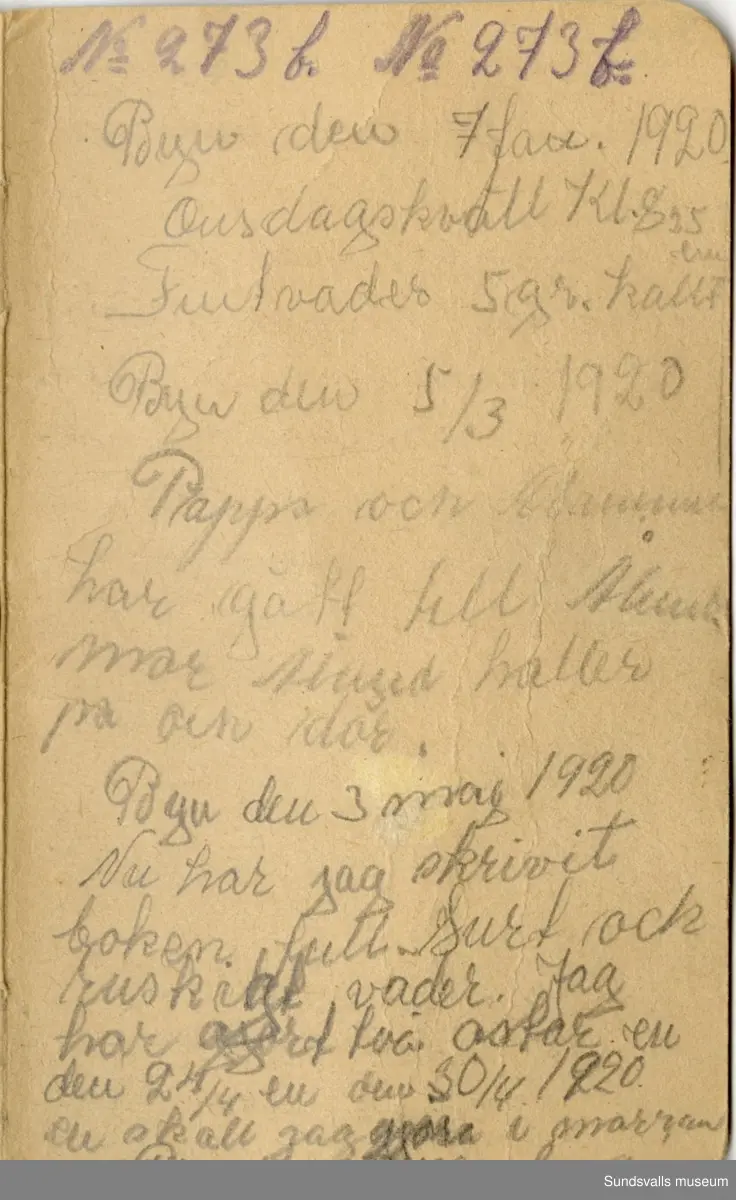 Dagbok skriven mellan åren 1919 och1920. 
Dagboken är skriven under Annas ungdomsår och handlar bland annat om biobesök, samvaro med vänner och arbete hemma på gården. Flera visor är också nedtecknade i boken.

Anna Johansson föddes på en bondgård i Byn, Torp. 
Hon arbetade som hushållerska, först hos sina föräldrar och senare hos syskon. Hon tillhörde Torp-Stöde missionsförsamlin