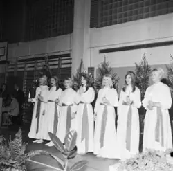 Lucia i Tierp, Uppland 1968